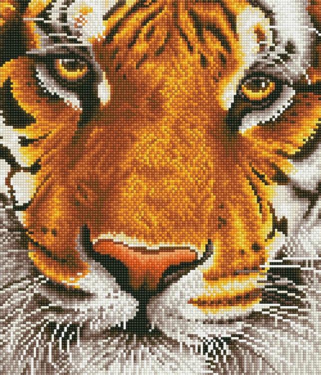 Cincinnati Bengals Sport Illustration - 5D Diamond Painting